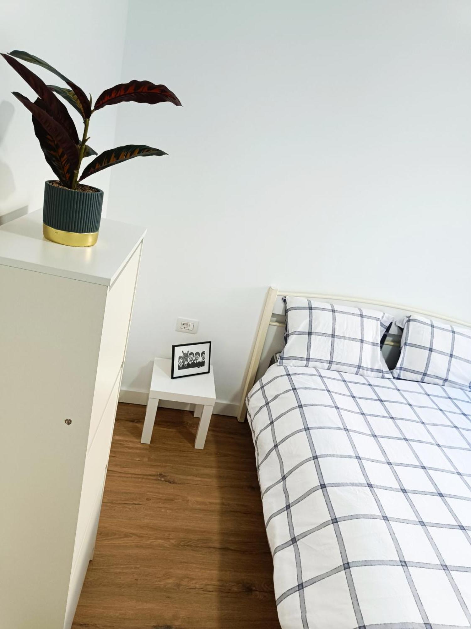 Apartamento Meraki Daire Santa Cruz de Tenerife Dış mekan fotoğraf